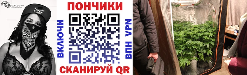 Купить где  Кукмор  Канабис THC 21% 